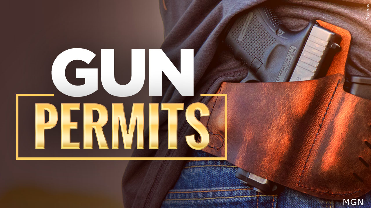 Delaware Gun Permit