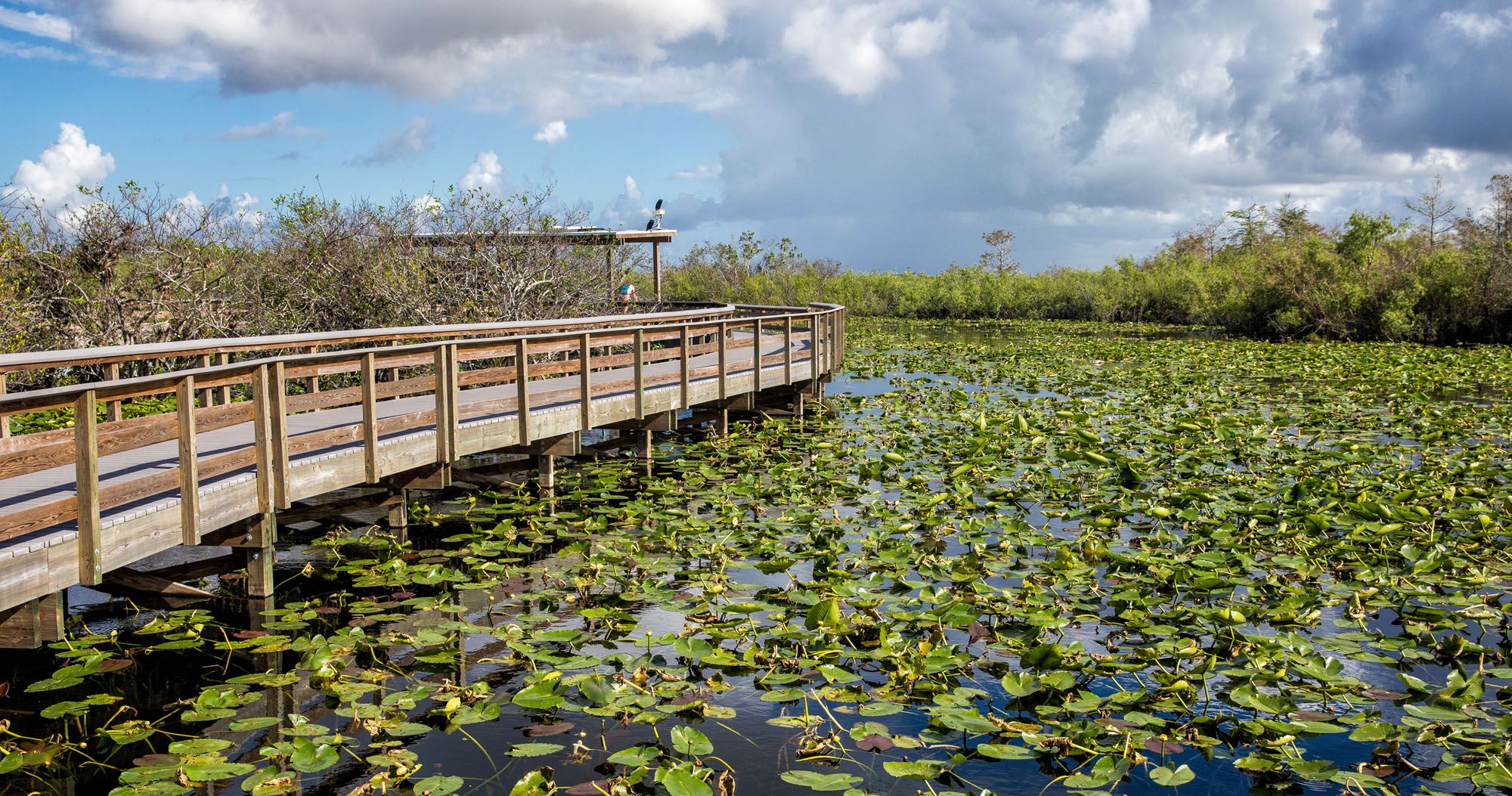 Everglades National Park Photos