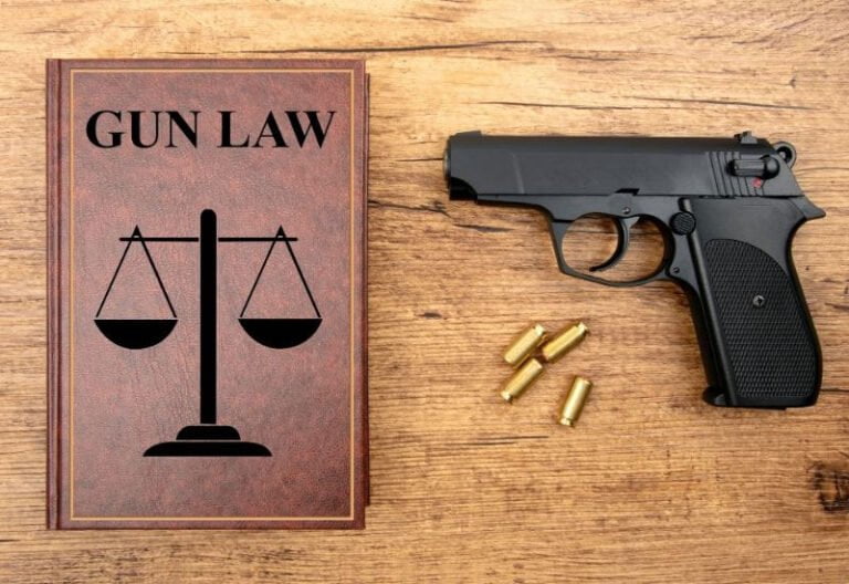 Louisiana Gun Laws