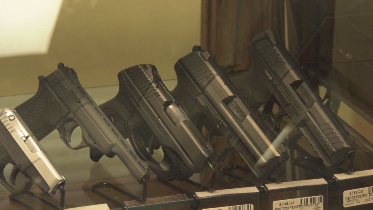 Louisiana Gun Permit