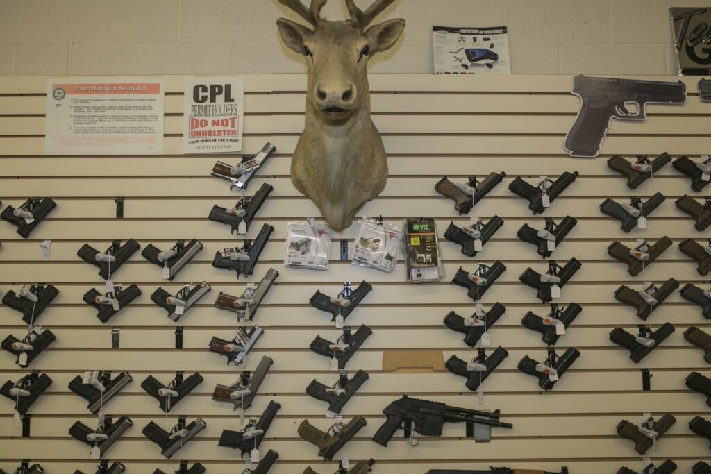 Michigan Gun Permit The Gun Laws 2024