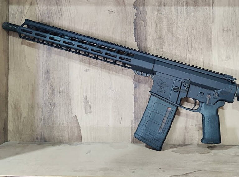 Am-10 Semi-Automatic Rifle Review