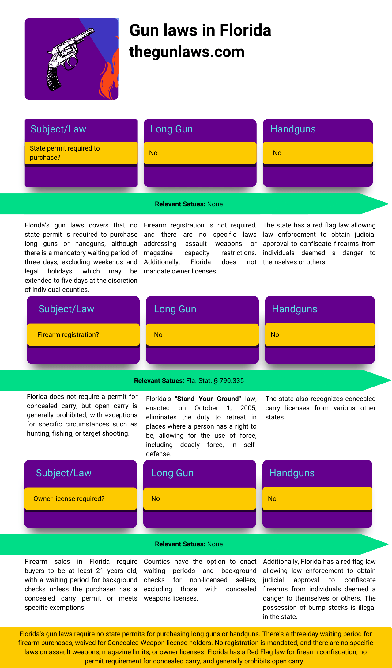 Understanding Florida Gun Laws A Comprehensive Guide 2024
